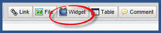 Wikispaces - Widget