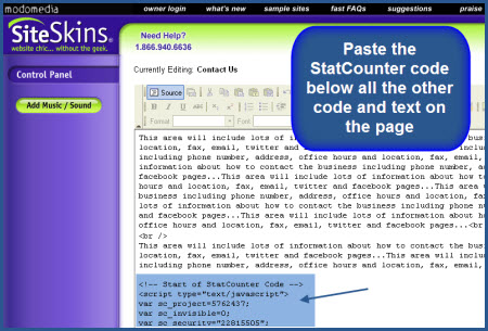 SiteSkins - Paste StatCounter Code